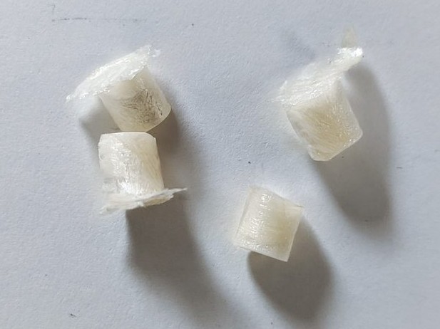 Silk scaffolds. Porous fibroin cylinders, cast and lyophilized in a printed mold, ready to seat into the wells.